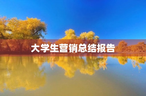 大学生营销总结报告