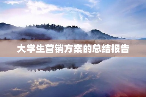 大学生营销方案的总结报告