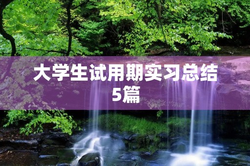 大学生试用期实习总结5篇