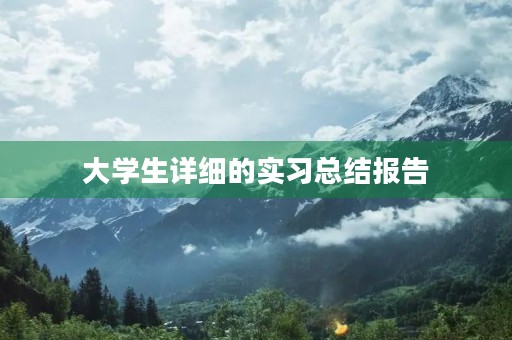 大学生详细的实习总结报告 大学生详细的实习总结报告