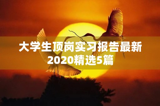 大学生顶岗实习报告最新2020精选5篇
