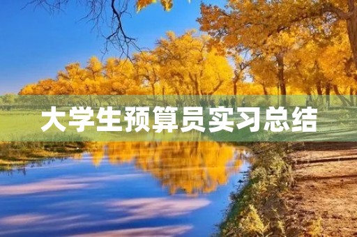 大学生预算员实习总结