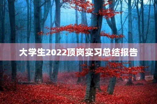 大学生2022顶岗实习总结报告 大学生2022顶岗实习总结报告