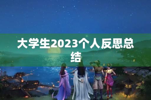 大学生2023个人反思总结