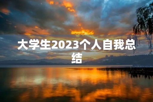 大学生2023个人自我总结