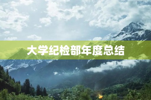 大学纪检部年度总结