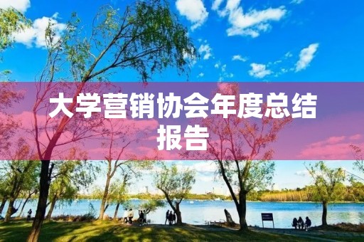 大学营销协会年度总结报告