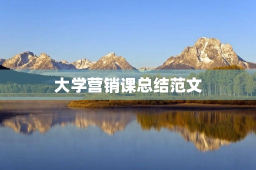 大学营销课总结范文