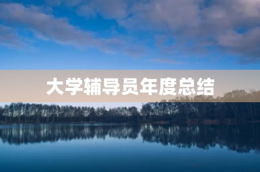 大学辅导员年度总结