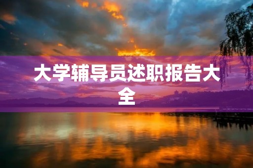 大学辅导员述职报告大全