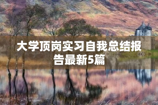 大学顶岗实习自我总结报告最新5篇 大学顶岗实习自我总结报告最新5篇