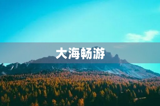 大海畅游 大海畅游