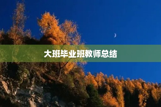 大班毕业班教师总结 大班毕业班教师总结