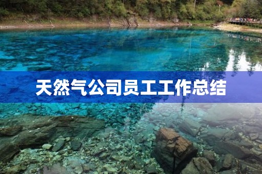 天然气公司员工工作总结