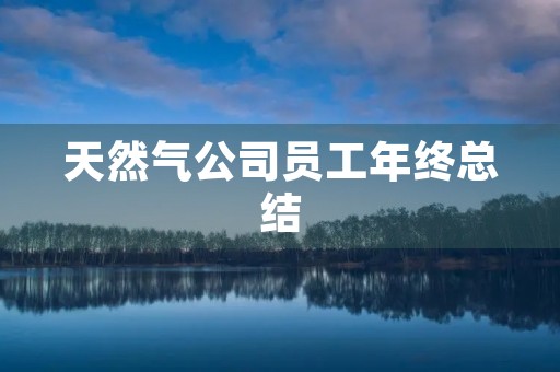 天然气公司员工年终总结