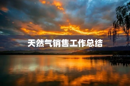 天然气销售工作总结 天然气销售工作总结