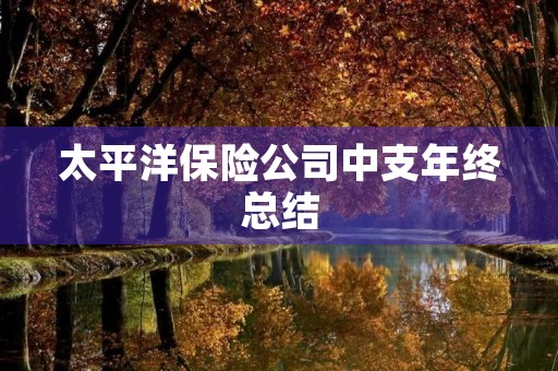 太平洋保险公司中支年终总结