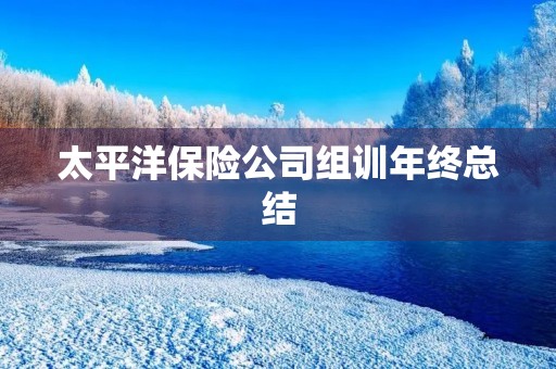 太平洋保险公司组训年终总结