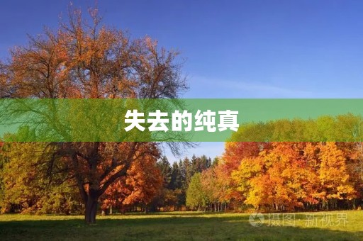 失去的纯真