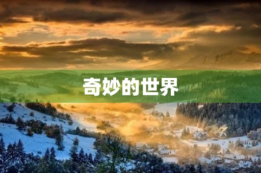 奇妙的世界 奇妙的世界