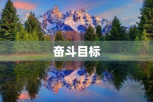 奋斗目标