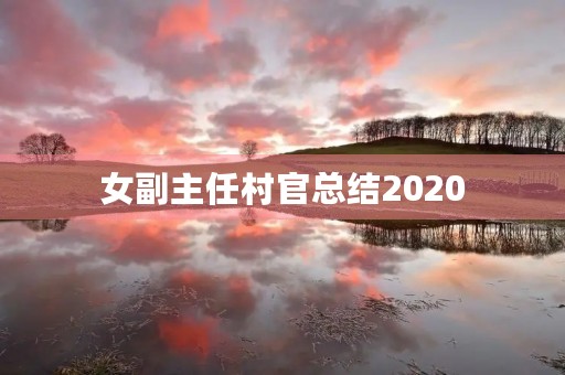 女副主任村官总结2020