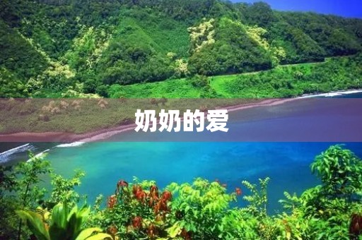 奶奶的爱
