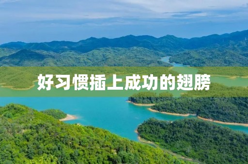 好习惯插上成功的翅膀 好习惯插上成功的翅膀