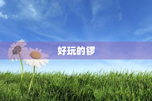 好玩的锣