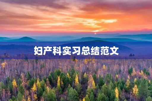 妇产科实习总结范文