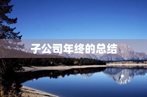 子公司年终的总结