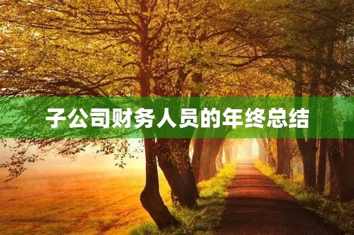 子公司财务人员的年终总结