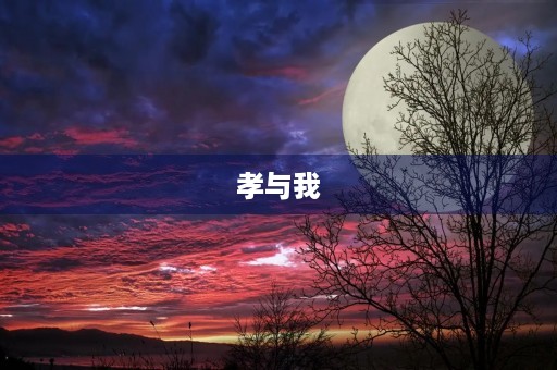 孝与我 孝与我