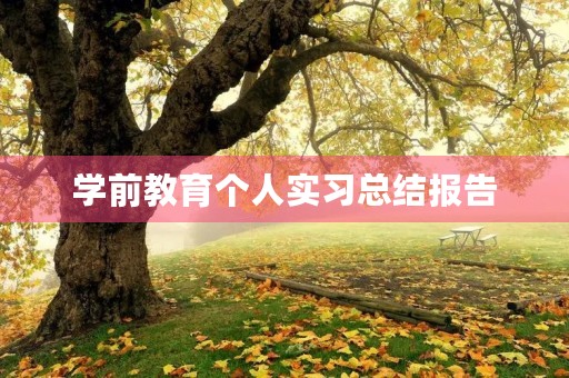 学前教育个人实习总结报告 学前教育个人实习总结报告