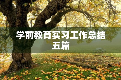 学前教育实习工作总结五篇 学前教育实习工作总结五篇