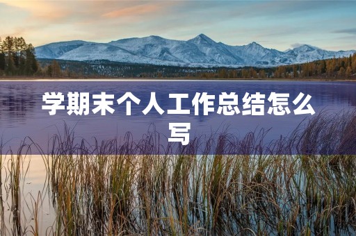 学期末个人工作总结怎么写