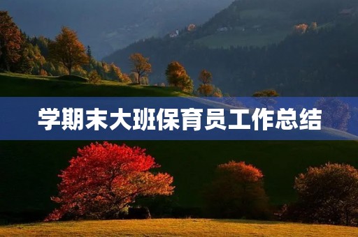 学期末大班保育员工作总结
