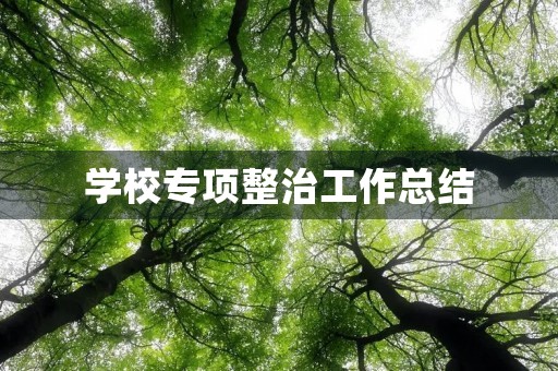 学校专项整治工作总结