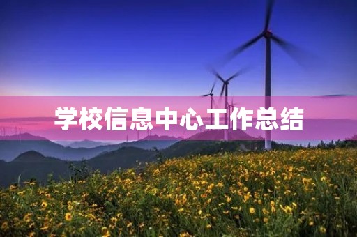 学校信息中心工作总结