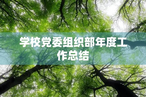 学校党委组织部年度工作总结 学校党委组织部年度工作总结