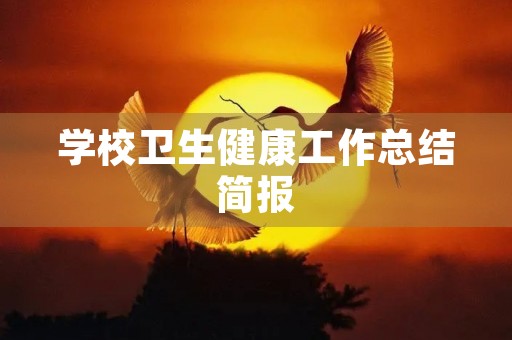 学校卫生健康工作总结简报