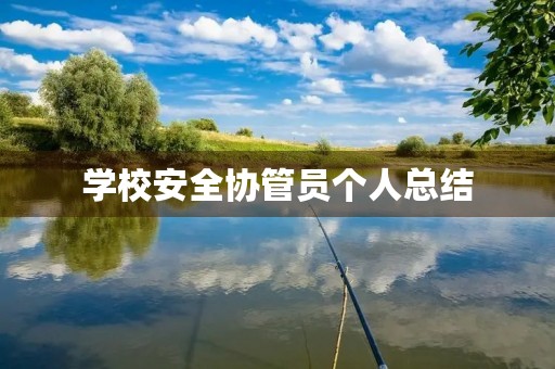 学校安全协管员个人总结