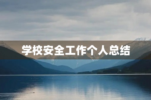 学校安全工作个人总结
