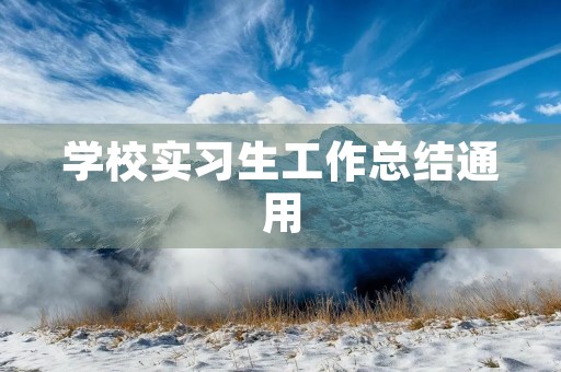 学校实习生工作总结通用 学校实习生工作总结通用