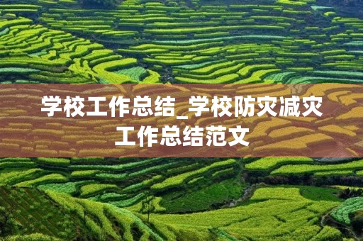 学校工作总结_学校防灾减灾工作总结范文
