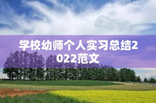 学校幼师个人实习总结2022范文