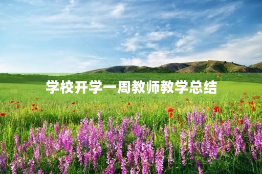 学校开学一周教师教学总结