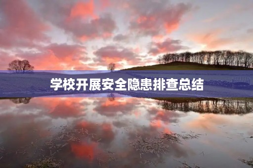 学校开展安全隐患排查总结