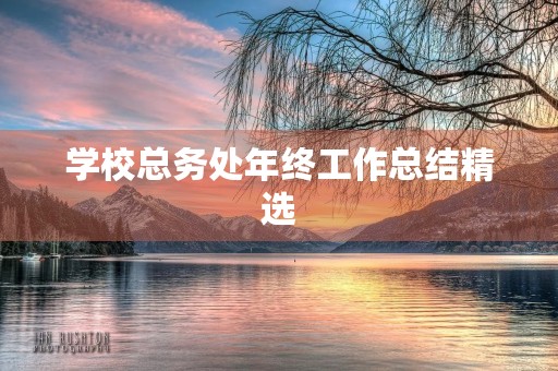 学校总务处年终工作总结精选
