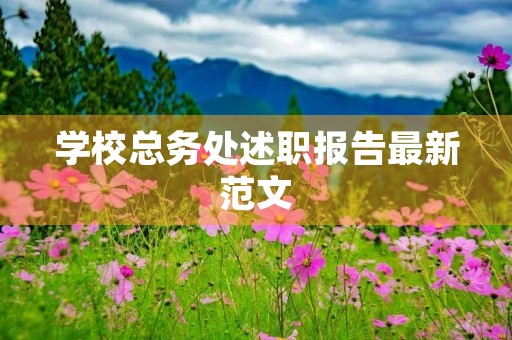 学校总务处述职报告最新范文
